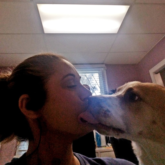 Meet your Posher, Jessie - Picture 2 of 5